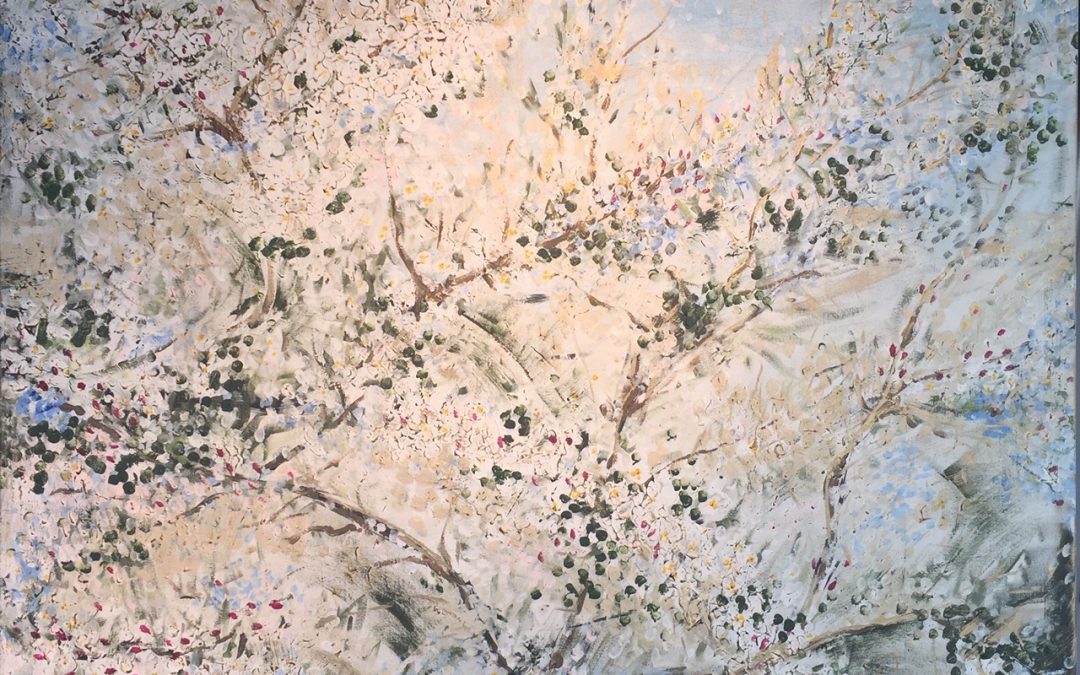 David Patterson – Blossoms